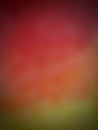 AÃ¢â¬â¹ gradientÃ¢â¬â¹ RedÃ¢â¬â¹ backÃ¢â¬â¹groundÃ¢â¬â¹ isÃ¢â¬â¹ usedÃ¢â¬â¹ forÃ¢â¬â¹ graphics